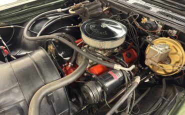 Chevrolet-Monte-carlo-1972-Oasis-Green-Black-37