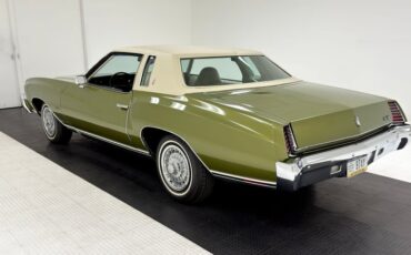 Chevrolet-Monte-carlo-1973-Dark-Green-Gold-Meta-Light-Neutral-1