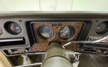 Chevrolet-Monte-carlo-1973-Dark-Green-Gold-Meta-Light-Neutral-13