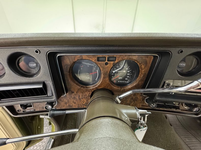 Chevrolet-Monte-carlo-1973-Dark-Green-Gold-Meta-Light-Neutral-13