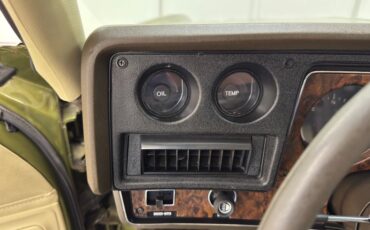 Chevrolet-Monte-carlo-1973-Dark-Green-Gold-Meta-Light-Neutral-17