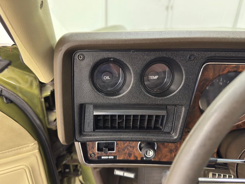 Chevrolet-Monte-carlo-1973-Dark-Green-Gold-Meta-Light-Neutral-17