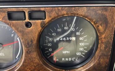 Chevrolet-Monte-carlo-1973-Dark-Green-Gold-Meta-Light-Neutral-18