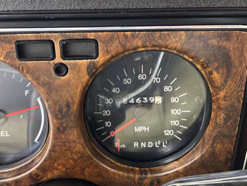 Chevrolet-Monte-carlo-1973-Dark-Green-Gold-Meta-Light-Neutral-18