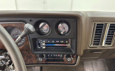 Chevrolet-Monte-carlo-1973-Dark-Green-Gold-Meta-Light-Neutral-19