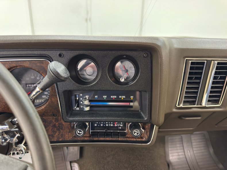 Chevrolet-Monte-carlo-1973-Dark-Green-Gold-Meta-Light-Neutral-19