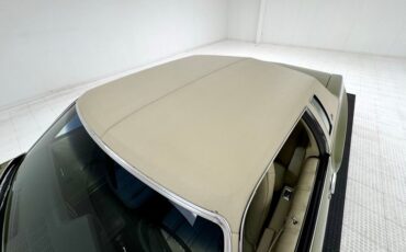 Chevrolet-Monte-carlo-1973-Dark-Green-Gold-Meta-Light-Neutral-20