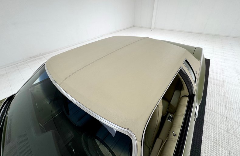 Chevrolet-Monte-carlo-1973-Dark-Green-Gold-Meta-Light-Neutral-20