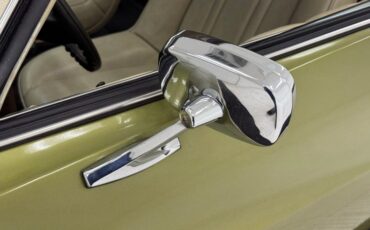 Chevrolet-Monte-carlo-1973-Dark-Green-Gold-Meta-Light-Neutral-21