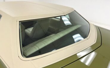 Chevrolet-Monte-carlo-1973-Dark-Green-Gold-Meta-Light-Neutral-23
