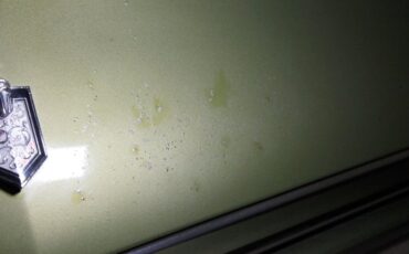 Chevrolet-Monte-carlo-1973-Dark-Green-Gold-Meta-Light-Neutral-25