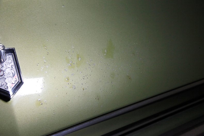 Chevrolet-Monte-carlo-1973-Dark-Green-Gold-Meta-Light-Neutral-25