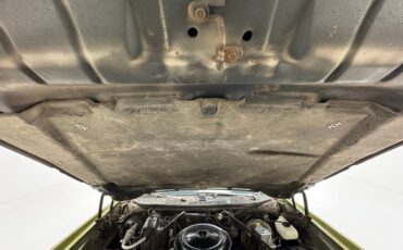 Chevrolet-Monte-carlo-1973-Dark-Green-Gold-Meta-Light-Neutral-27