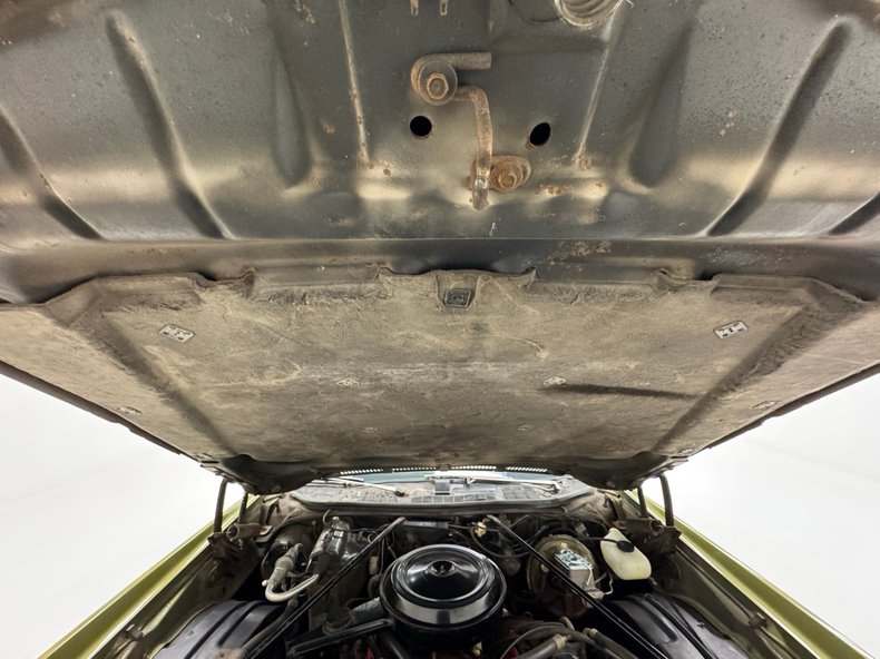 Chevrolet-Monte-carlo-1973-Dark-Green-Gold-Meta-Light-Neutral-27