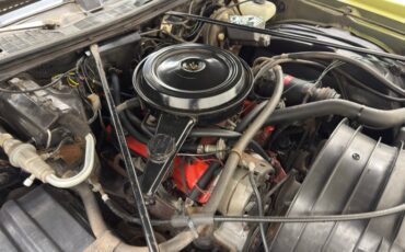 Chevrolet-Monte-carlo-1973-Dark-Green-Gold-Meta-Light-Neutral-28