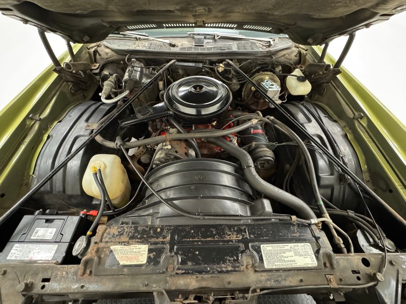 Chevrolet-Monte-carlo-1973-Dark-Green-Gold-Meta-Light-Neutral-29