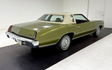 Chevrolet-Monte-carlo-1973-Dark-Green-Gold-Meta-Light-Neutral-3