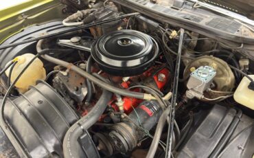 Chevrolet-Monte-carlo-1973-Dark-Green-Gold-Meta-Light-Neutral-30