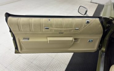 Chevrolet-Monte-carlo-1973-Dark-Green-Gold-Meta-Light-Neutral-33