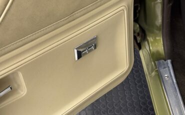 Chevrolet-Monte-carlo-1973-Dark-Green-Gold-Meta-Light-Neutral-34