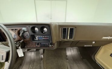 Chevrolet-Monte-carlo-1973-Dark-Green-Gold-Meta-Light-Neutral-38