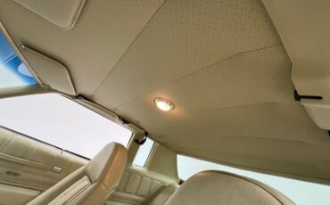 Chevrolet-Monte-carlo-1973-Dark-Green-Gold-Meta-Light-Neutral-42