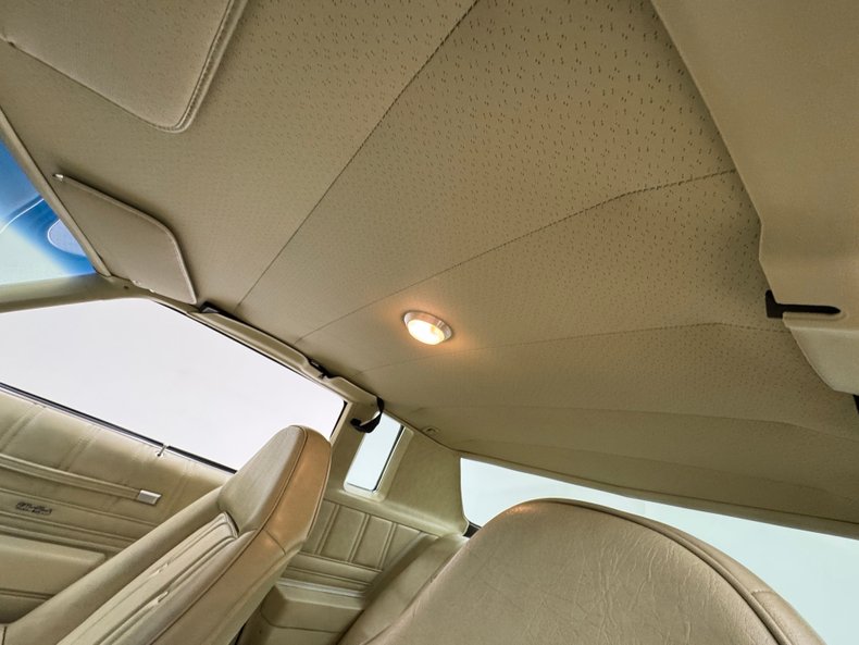 Chevrolet-Monte-carlo-1973-Dark-Green-Gold-Meta-Light-Neutral-42