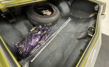 Chevrolet-Monte-carlo-1973-Dark-Green-Gold-Meta-Light-Neutral-48