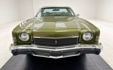 Chevrolet-Monte-carlo-1973-Dark-Green-Gold-Meta-Light-Neutral-6