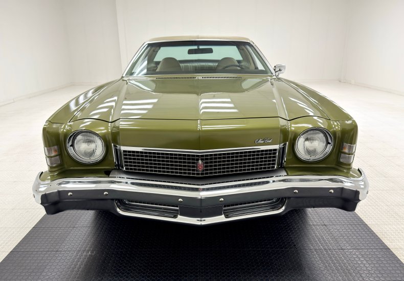 Chevrolet-Monte-carlo-1973-Dark-Green-Gold-Meta-Light-Neutral-6