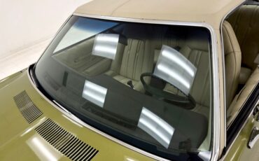 Chevrolet-Monte-carlo-1973-Dark-Green-Gold-Meta-Light-Neutral-7