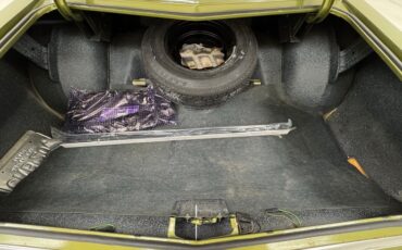 Chevrolet-Monte-carlo-1973-Dark-Green-Gold-Meta-Light-Neutral-8