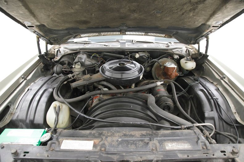 Chevrolet-Monte-carlo-1974-Silver-Taupe-Metalli-Black-18