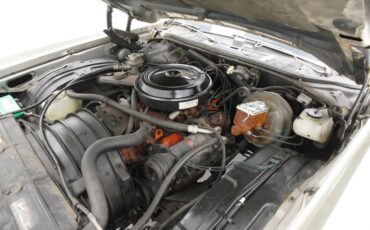 Chevrolet-Monte-carlo-1974-Silver-Taupe-Metalli-Black-20