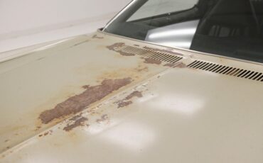 Chevrolet-Monte-carlo-1974-Silver-Taupe-Metalli-Black-23