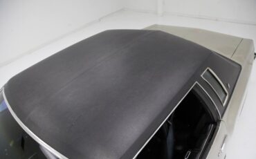 Chevrolet-Monte-carlo-1974-Silver-Taupe-Metalli-Black-28