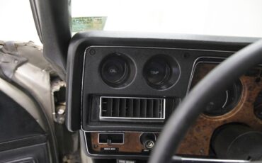 Chevrolet-Monte-carlo-1974-Silver-Taupe-Metalli-Black-38