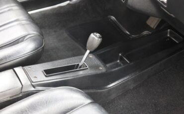 Chevrolet-Monte-carlo-1974-Silver-Taupe-Metalli-Black-41