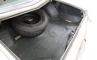 Chevrolet-Monte-carlo-1974-Silver-Taupe-Metalli-Black-49