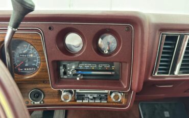 Chevrolet-Monte-carlo-1976-Firethorn-Red-Metall-Dark-Mahogany-13