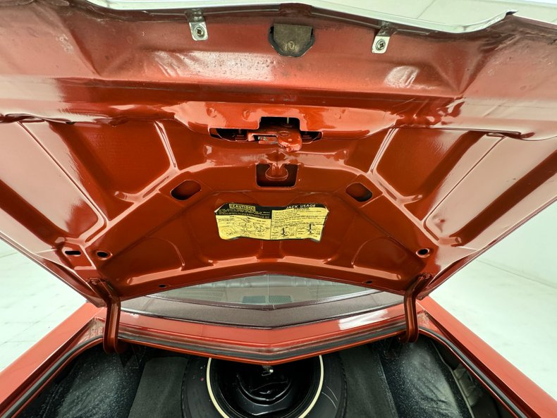 Chevrolet-Monte-carlo-1976-Firethorn-Red-Metall-Dark-Mahogany-40