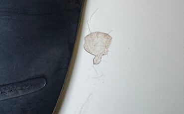 Chevrolet-Other-1954-Shoreline-Beige-Maroon-21