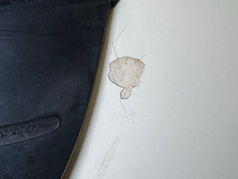 Chevrolet-Other-1954-Shoreline-Beige-Maroon-21