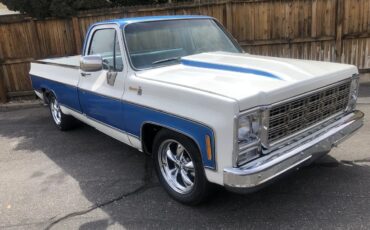Chevrolet-Silverado-1500-1979-Blue-Blue-1