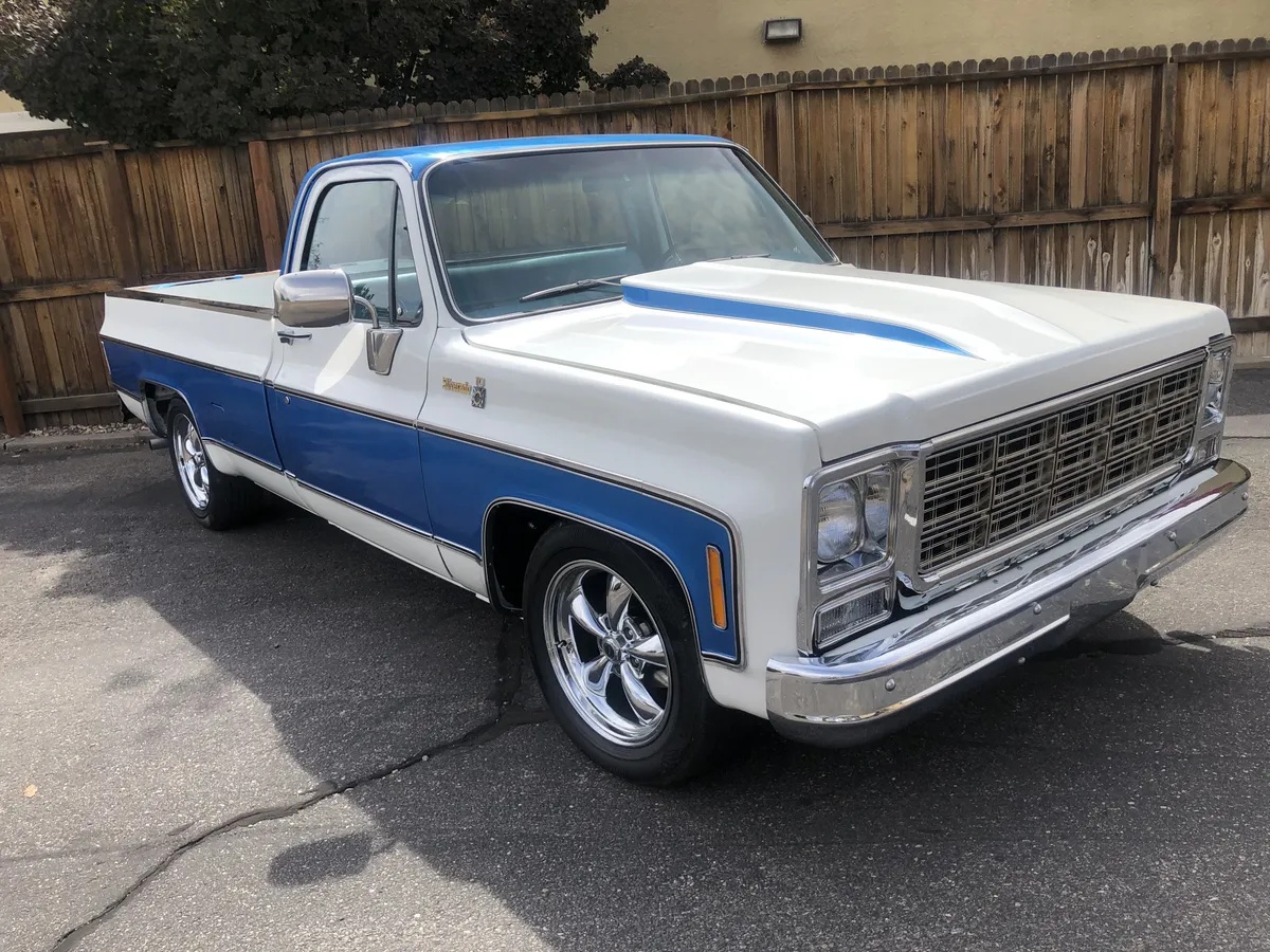Chevrolet-Silverado-1500-1979-Blue-Blue-1