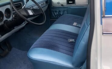 Chevrolet-Silverado-1500-1979-Blue-Blue-2