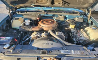 Chevrolet-blazer-1994-green-11