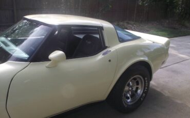 Chevrolet-corvette-1978-12