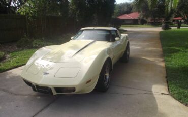 Chevrolet-corvette-1978-14