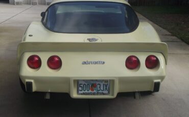 Chevrolet-corvette-1978-18